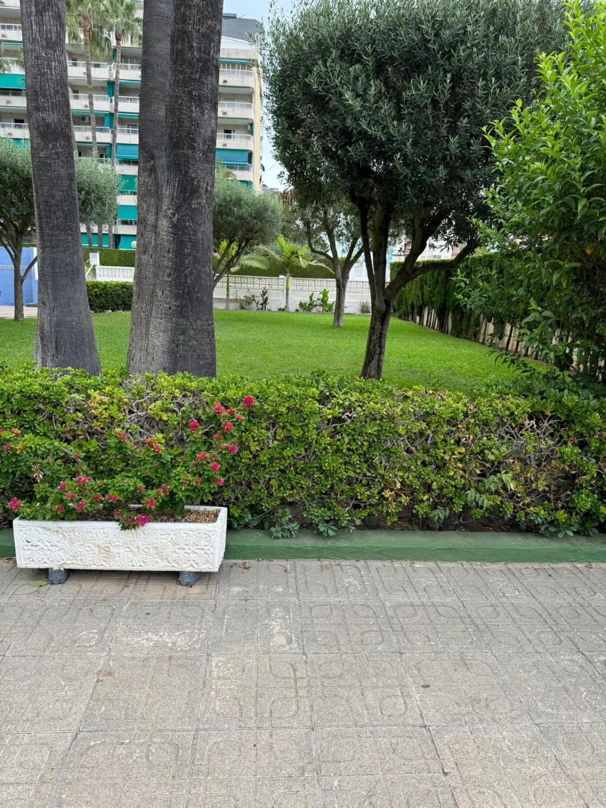 Апартаменты Laramar Playa de Gandia Экстерьер фото